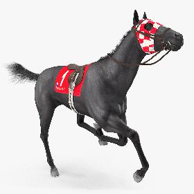 Black Racehorse Fur Rigged 3D model